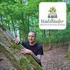 Waldbaden - Eintauchen in die Energie des Waldes