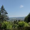 Waldzeit & Yoga – Waldbaden trifft Yoga
