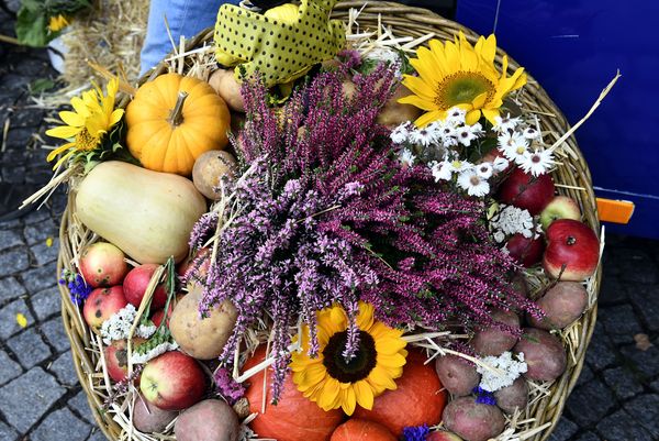 Carl-Heinz Zitzmann Der Bauernmarkt lockt mit seinen herbstlichen Dekorationen und Waren immer viele Besucher an.