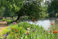Garten1