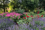 Garten3