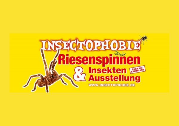 Insectophobie