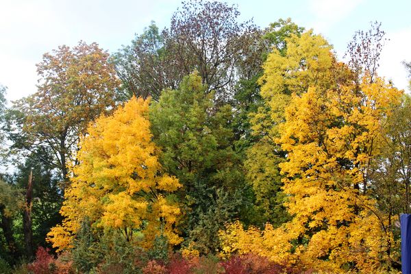 Waldbaden