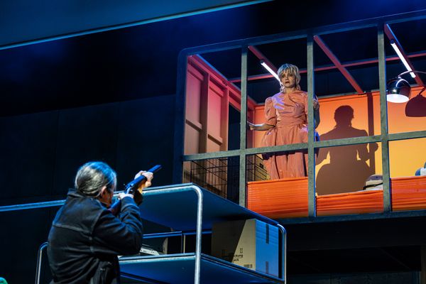 Der Besuch der alten Dame