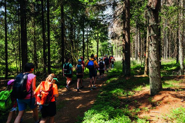 Wanderung um Steinach
