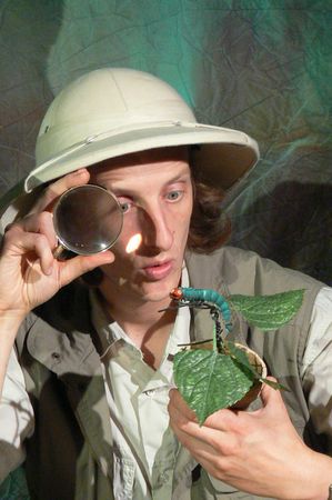 Die kleine Raupe wird unter die Lupe genommen