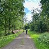 Wanderung Große Straufhain-Tour