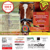 Huter Familienfest mit Pferde-Lotto