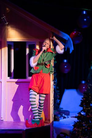 Bekenntnisse eines Weihnachtselfs