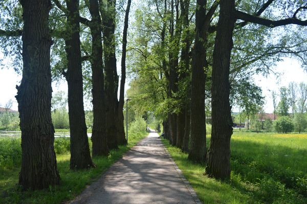 Wanderung