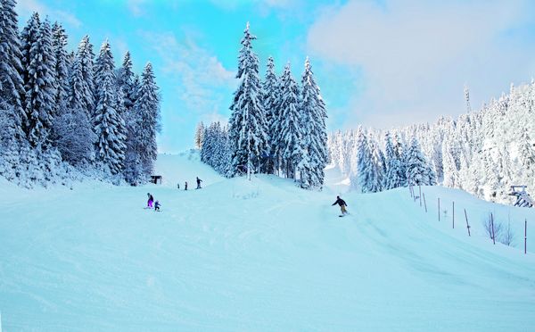Steffi Rebhan Skiarena Silbersattel