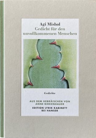 Hanser-Verlag Titelbild
