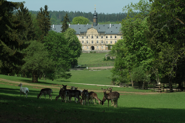 WildPark Schloss Tambach