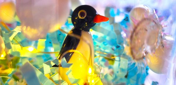 Kleine Pinguine
