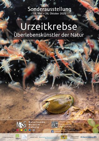 Naturkunde-Museum Coburg Plakar zur Sonderausstellung "Urzeitkrebse"