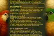 Flayer Text