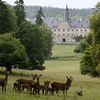 Mini-Tierpfleger im WildPark Schloss Tambach
