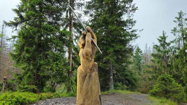 Griffelhand auf dem Fellberg