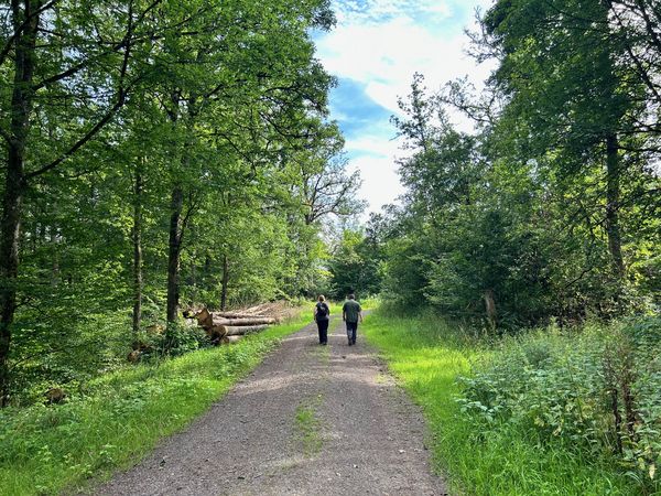 Wandern