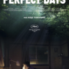 Fledermauskino: Perfect Days Fledermauskino: Perfect Days